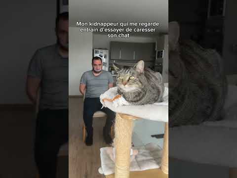 Il n’y a pas de mauvais moments pour caresser un chat !