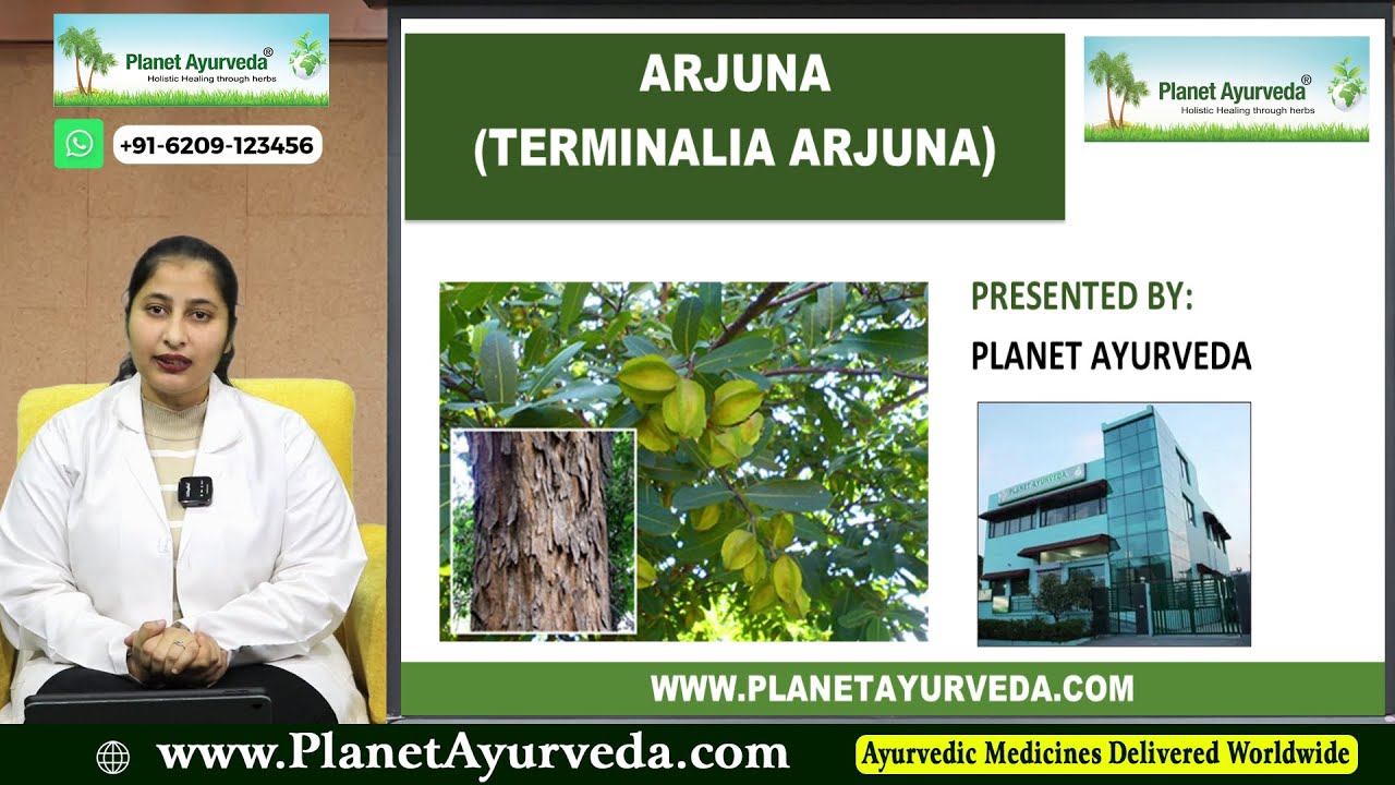 Watch Video Terminalia Arjuna - Medicinal Properties, Health Benefits, Dosage & Complete Information