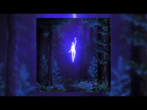 NBSPLV - The lost soul down ( Remix Phonk PxycxZ )