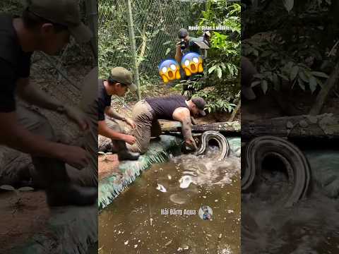 Công việc chỉ giành cho người đam mê😌 #hải_đăng_aqua #haidangaqua #animals