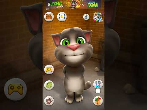 Talking Tom Cat #shorts