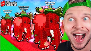 TACOS TUESDAY + New Brainrots ! #shorts
