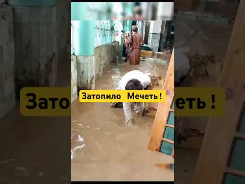 Затопило Мечеть! Брат ищет Священный Коран! #shotrs