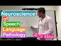 Neurological Foundations of Language