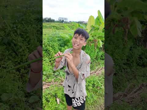 Kèn Lá Chuối 🎋 Âm Thanh Tuổi Thơ Một Thời 🎶🥹 #shorts