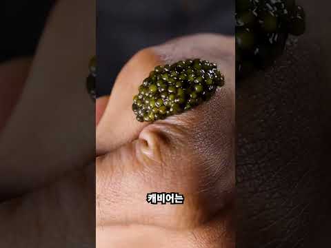 세계 3대진미 캐비어가 맛이 없는이유