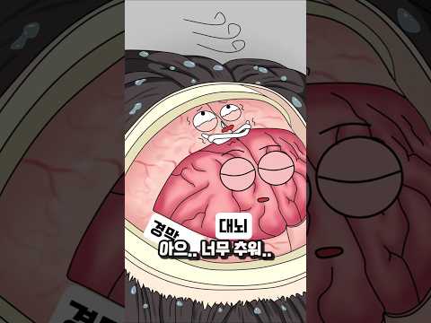 머리 안 말리고 자면 생기는 일