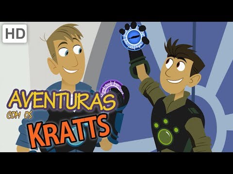 Aventuras com os Kratts 🦅 Animais Voadores x Animais Marinhos 🐟