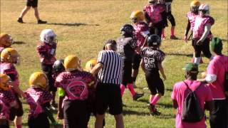 Week 8 Bellview Navarre 2016 10U