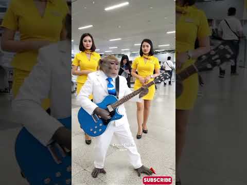 Viral Monyet Main Gitar di Bandara Russia #empudstudio #empudstudiogrup #shorts