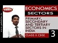 Service Sector Growth and Impact
