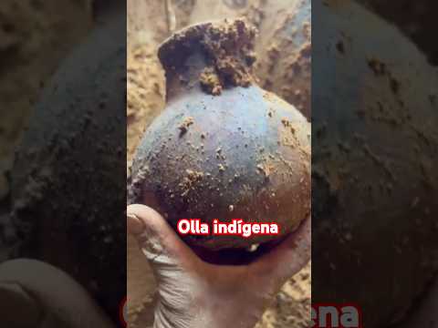 Desfonde Con olor fuerte mira lo que tenia #indígenas #indigenas #gold #oro