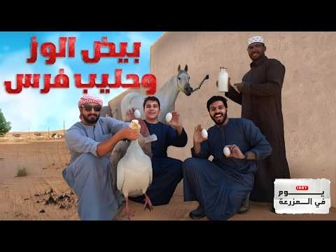 بيض الوز وحليب الخيل 🪿🐴| #تجربة