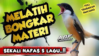 Sekali Nafas 5 Lagu !! MASTERAN CENDET FULL ISIAN TEMBAKAN KEKINIAN‼️