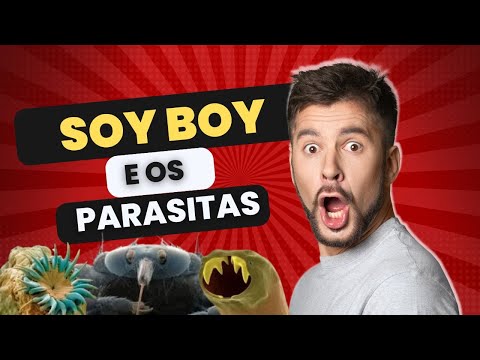 Soy Boy e os Parasitas