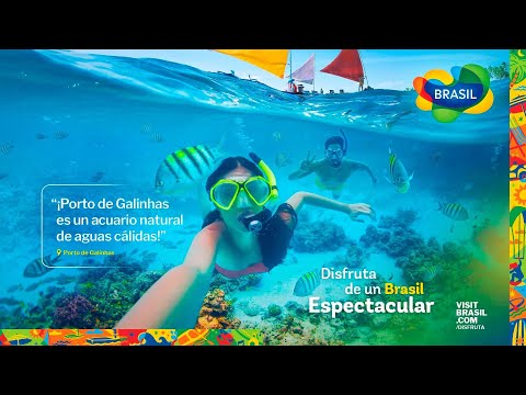 Disfruta de un Brasil Espectacular