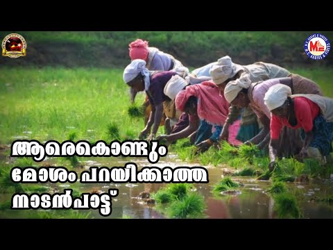 ആരെകൊണ്ടും മോശം പറയിക്കാത്ത നാടൻപാട്ട് | Nadanpattukal Malayalam | Folk Song
