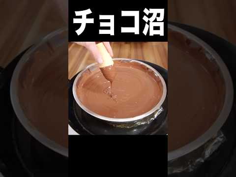 チョコ沼にアイスを100回漬けようとしたら…( ゚д゚) PDS #shorts