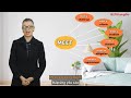 Understanding 'Meet' Phrases