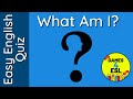 Understanding the Video Tutorial