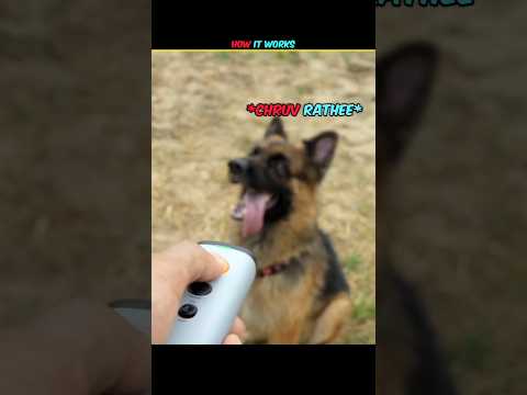 DOG REPELLER !!