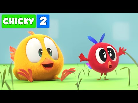 Onde está Chicky? | CHICKY E POYO NA FAZENDA | Desenhos Animados Infantil