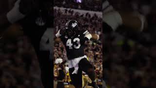 Whitson - Back For 2026 🔒