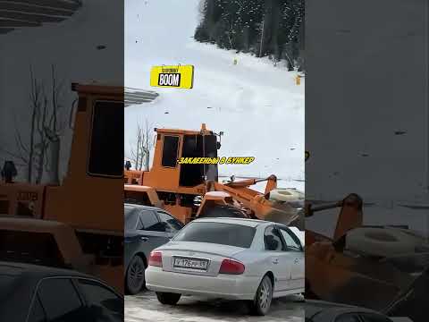Тонированный В ХЛАМ ТРАКТОРИС ДРАЗНИТ ДПС #shorts #дпс #automobile