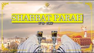 SHABBAT PARAH - "PARASHAT KI TISA"