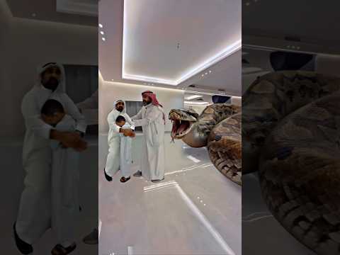 الاب ينقذ ابنه من الافعى العملاقة #الكويت #اكسبلور  #ضحك #ترند #funny