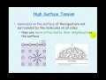 Properties of Water and Forces