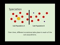 Mutations and Natural Selection Concepts