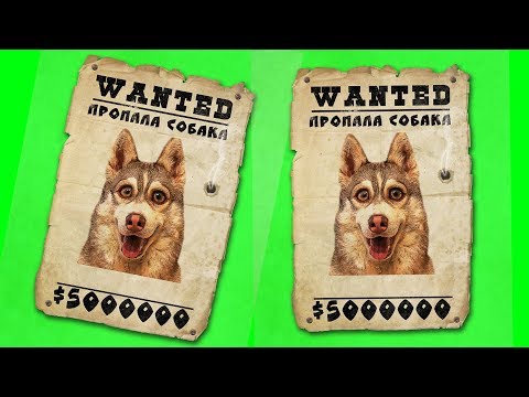 НАС ПОХИТИЛИ!! (Хаски Бублик) Говорящая собака Mister Booble