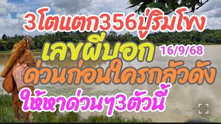 3 ตัวแตก 356 ปูริมโขง เลขผีบอก ด่วนก่อนใครกลัวดัง ให้หาด่วน 3 ตัวนี้