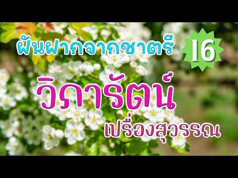 ฝันฝากจากชาตรี ชุด 16 วิภารัตน์ เปรื่องสุวรรณ l สุดที่รัก l คิดถึง l สร้างไว้เถิดความดี