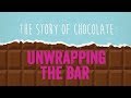 Challenges and Benefits in Cocoa Farming