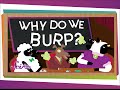Understanding Burping and the Digestive System