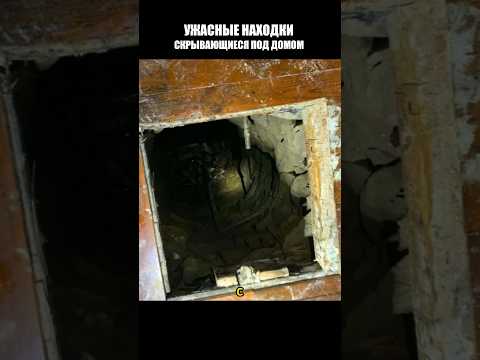 Ужасная находка скрывалась под домом мужчины