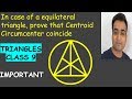 Triangle Centers and Properties