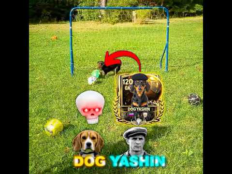 Dog Yashin ๐ถ๐งข๐งคโ ๏ธ #eafc24 #fcmobile
