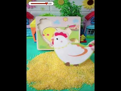 Quả trứng bóng của mẹ gà có phải bên vịt không #funny #funnyvideo