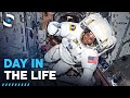 A Day in the Life of an ISS Astronaut