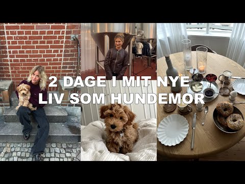 2 DAGE I MIT NYE LIV SOM HUNDEEJER