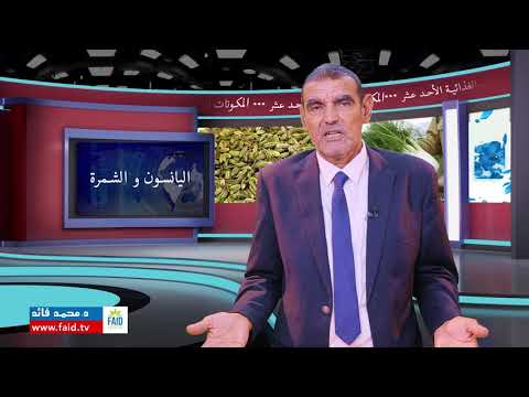 اليانسون و الشمرة | الدكتور محمد فائد