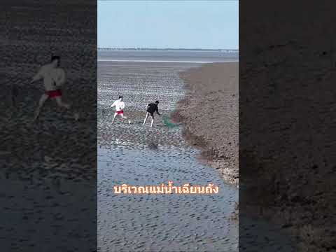จับปลาแข่งกับคลื่น