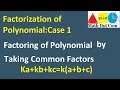 Factorization Concepts and Techniques