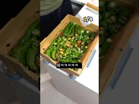 💡맛집 사장님들이 꼭 쓴다는 발명템 Top4