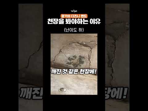 일본에서 화제가 된 디즈니랜드의 광기 (!)