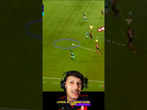 GRAÇAS A ISSO O FLAMENGO GANHOU DO PALMEIRAS PELO BRASILEIRÃO.