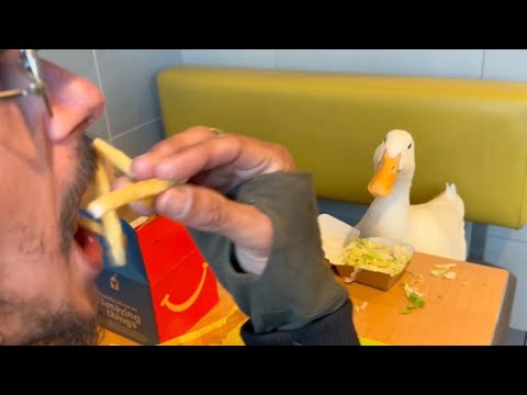 I took my duck to McDonalds 🍟🦢